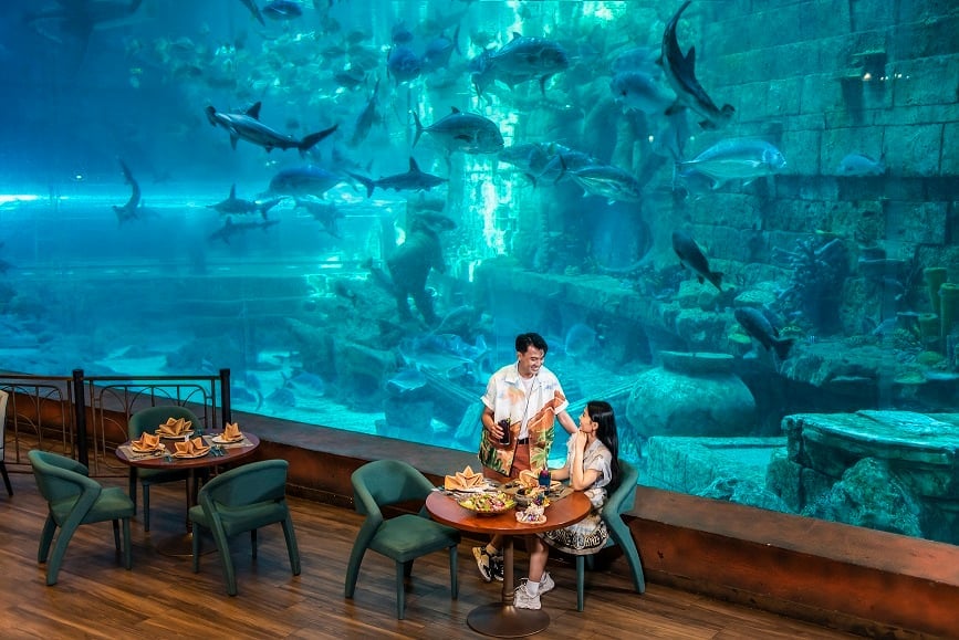 Kinh nghiệm đi VinWonders và Vinpearl Safari Phú Quốc 2025 đầy đủ nhất